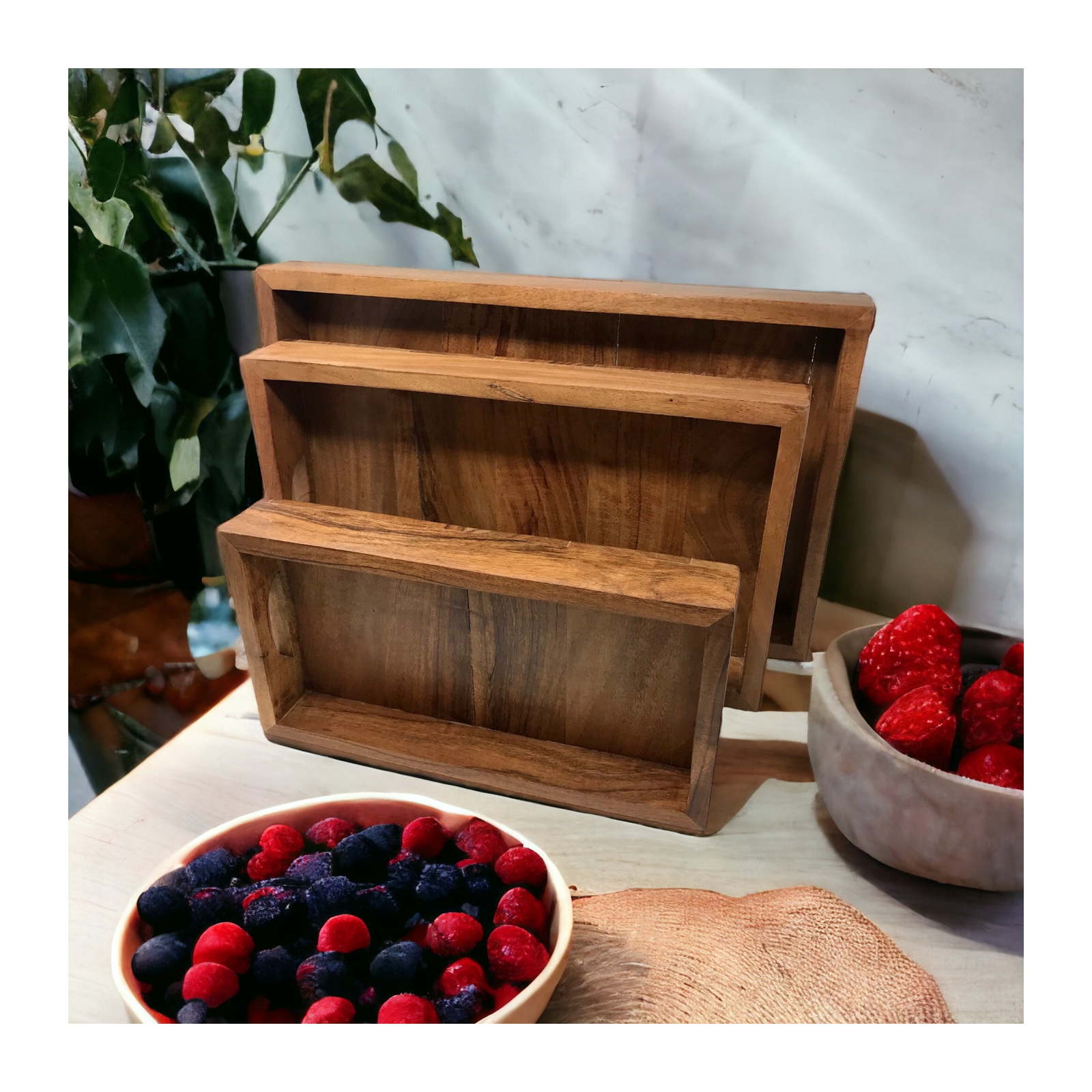 Set of 3 Cocktail Trays 